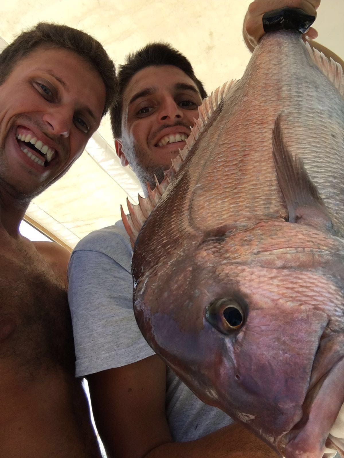 Pesca a traina