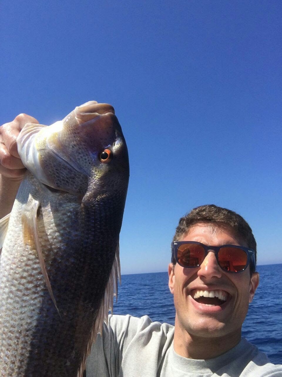 Pesca traina